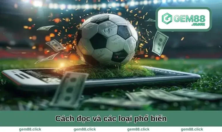 Kèo Chấp Là Gì? Cách Đọc Kèo Dễ Hiểu Giúp Bạn Thắng Lớn 2 Cách đọc và các loại phổ biến