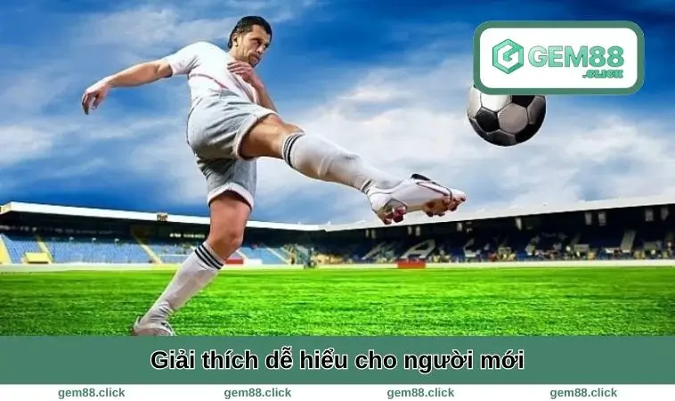 1x2 Là Gì? Bí Quyết Đọc Kèo Châu Âu Cực Dễ Cho Người Mới 1 Giải thích dễ hiểu chi tiết