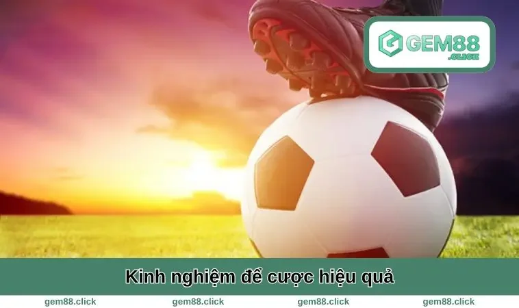1x2 Là Gì? Bí Quyết Đọc Kèo Châu Âu Cực Dễ Cho Người Mới 2 Kinh nghiệm để cược hiệu quả